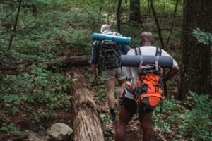 Full body back view of anonymous multiethnic adventurers in casual clothing with backpacks walking on ground covered with grass in woodland in daylight